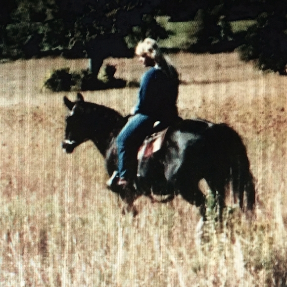 Meet your Posher, Marylou - Picture 1 of 1